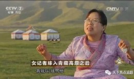 马金瑜最新爆料,揭开娱乐圈背后的黑暗面